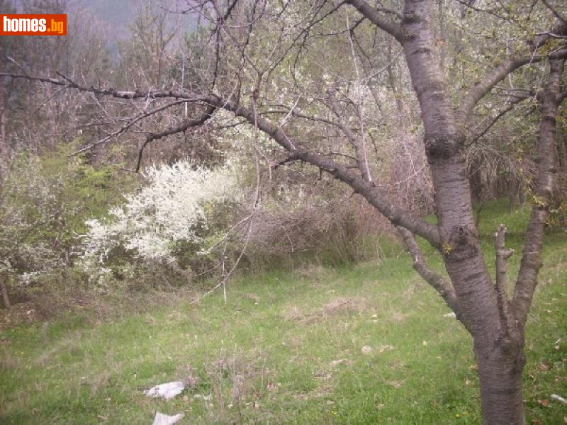 Парцел, 1200m² - Гр.Своге, Своге - Парцел за продажба - Уни Комерс ООД - 15132303