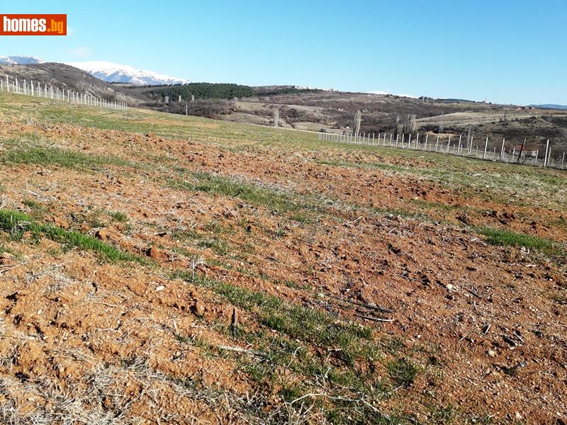 Парцел, 400m² - С.Рилци, Благоевград - Парцел за продажба - Благоевградски имоти - 34726717