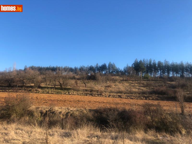 Парцел, 1494m² - С.Рилци, Благоевград - Парцел за продажба - Благоевградски имоти - 60769487