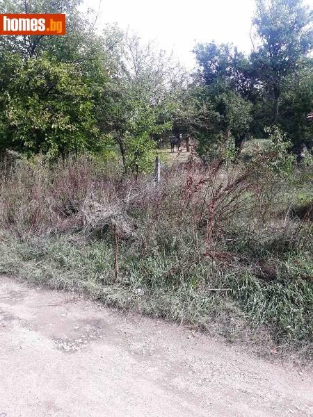 Парцел, 1076m² - С.Бараково, Koчериново - Парцел за продажба - Благоевградски имоти - 75544087