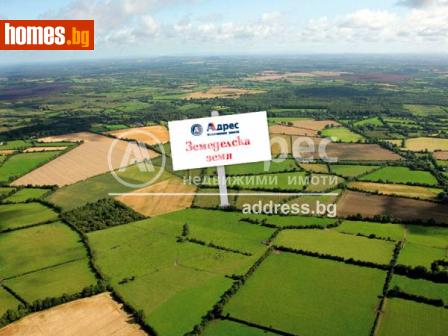 Земеделска земя, 10000m² - Земя за продажба - 82744602