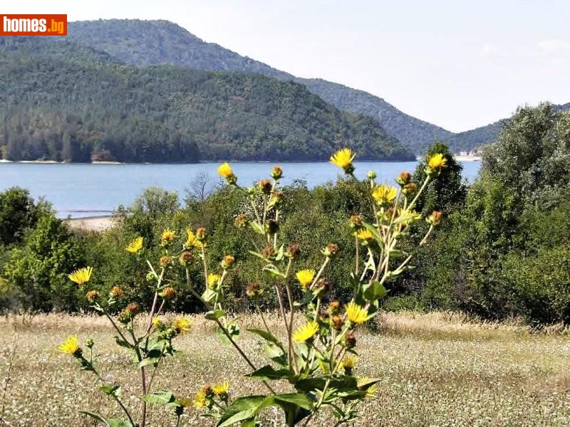 Парцел, 20000m² - С.Шилковци, Елена - Парцел за продажба - Имоти Консулт - 83769198