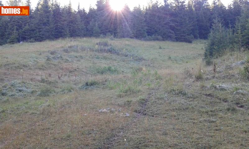 Парцел, 2400m² - К.к.Пампорово, Смолян - Парцел за продажба - ПИРИН 2007 - 86463514