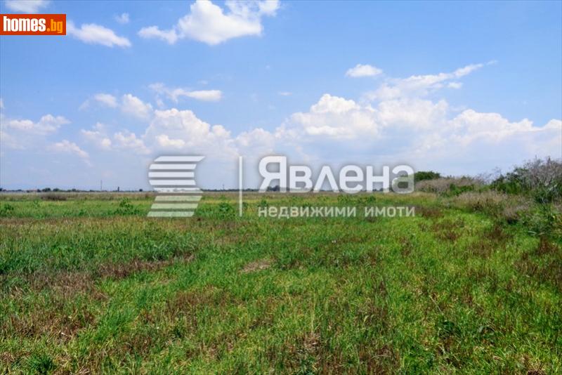 Земеделска земя, 9100m² - С.Скутаре, Пловдив - Земя за продажба - ЯВЛЕНА - 88260404