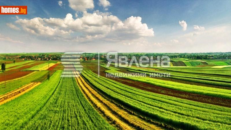 Земеделска земя, 39707m² - С.Григорево, Софийска - Земя за продажба - ЯВЛЕНА - 94450247