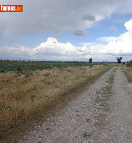 Парцел, 5500m² - С.Маноле, Марица - Парцел за продажба - ЛИДЕР А - 95025194