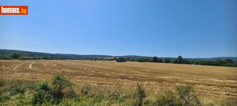 Парцел, 4000m² - С.Нови Хан, Елин Пелин - Парцел за продажба - Сандрамакс - 102446874