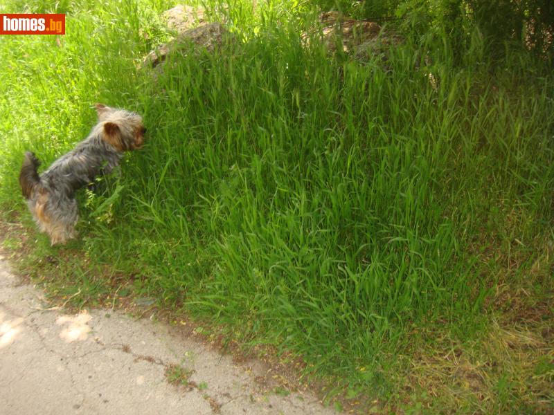 Парцел, 1400m² -  Център, Варна - Парцел за продажба - Имоти България - 104337215