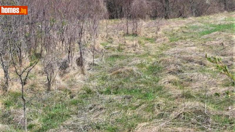 Парцел, 2660m² - С.Славейково, Габрово - Парцел за продажба - Tsar Estates - 104354166