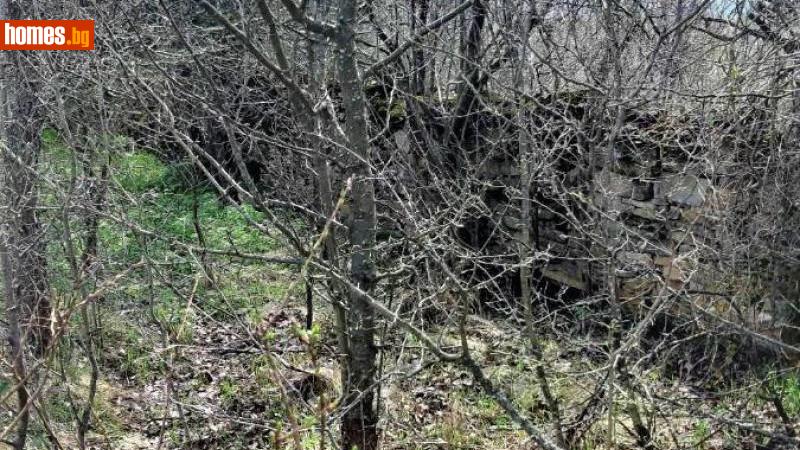Парцел, 3270m² - С.Славейково, Габрово - Парцел за продажба - Tsar Estates - 104354168