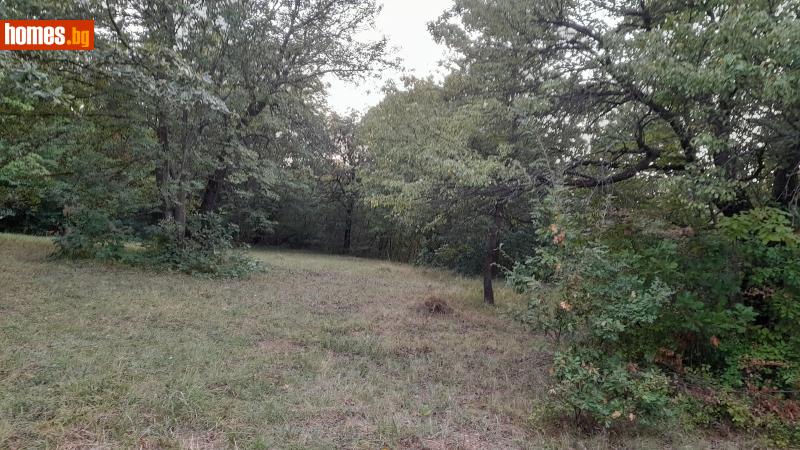 Парцел, 1098m² - С.Къпиново, Велико Търново - Парцел за продажба - Имоти Консулт - 105654801