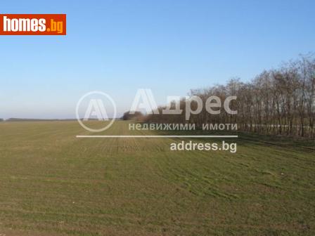 Земеделска земя, 20000m² - Земя за продажба - 106138181