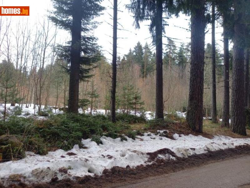 Парцел, 4493m² - К.к.Боровец, Самоков - Парцел за продажба - Rilaimoti - 107654083