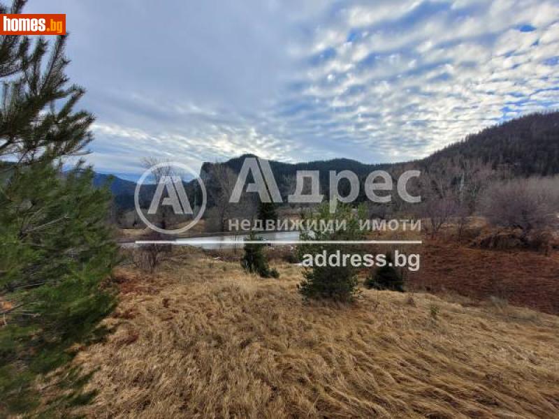 Парцел, 3767m² - К.к.Пампорово, Смолян - Парцел за продажба - АДРЕС НЕДВИЖИМИ ИМОТИ - 107783540