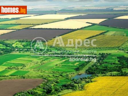 Земеделска земя, 6599m² - Земя за продажба - 107880055