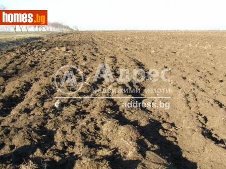 Земеделска земя, 50000m² - Земя за продажба - 108602253