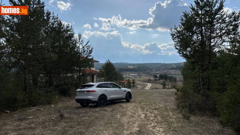 Парцел, 10500m² - С.Долно Драглище, Разлог - Парцел за продажба - BANSKO REAL ESTATES LTD - 109546707
