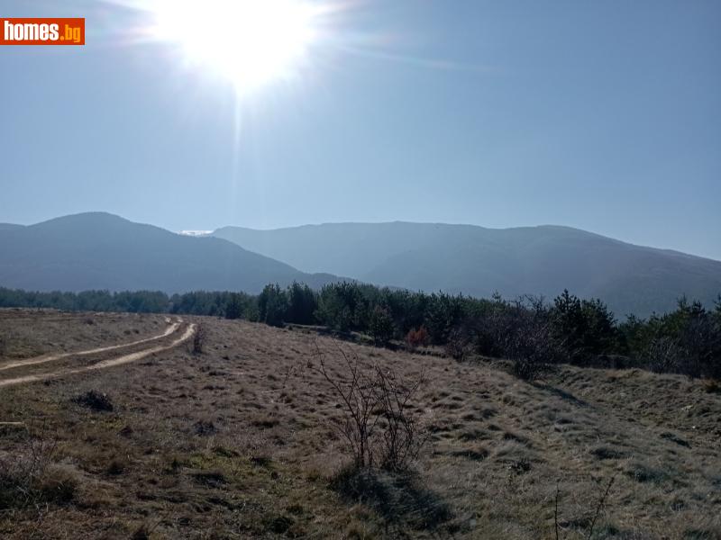 Парцел, 1150m² - Гр.Сапарева Баня, Сапарева баня - Парцел за продажба - George Georgievv - 113388542