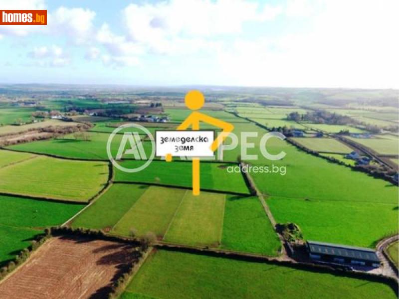 Парцел, 8233m² - С.Зелендол, Благоевград - Парцел за продажба - АДРЕС НЕДВИЖИМИ ИМОТИ - 113614431