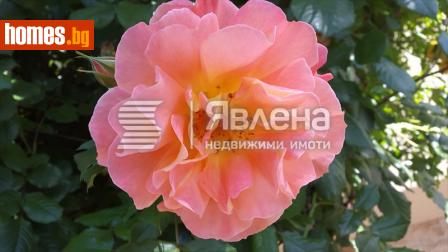 Тристаен, 60m² - Апартамент за продажба - 113629036