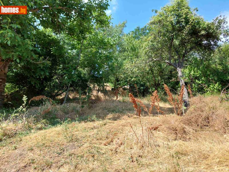 Парцел, 3626m² - С.Българчево, Благоевград - Парцел за продажба - Благоевградски имоти - 114746034