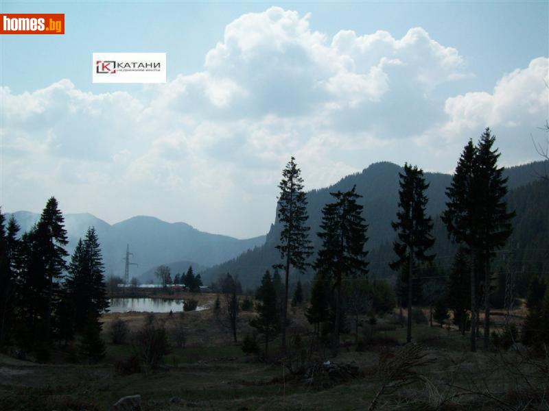 Парцел, 3650m² -  Смолян, Смолян - Парцел за продажба - Катани Инженеринг ООД - 115228355