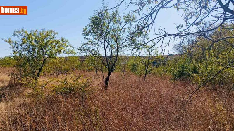 Парцел, 1284m² -  Промишлена Зона, Сливен - Парцел за продажба - Виста Недвижими имоти Сливен - 115472538