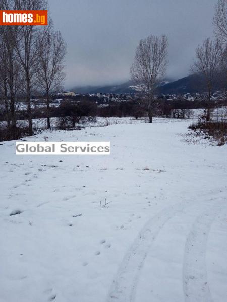 Парцел, 1000m² - С.Лозен, София - град - Парцел за продажба - Глобъл Сървисиз ООД - 116345996