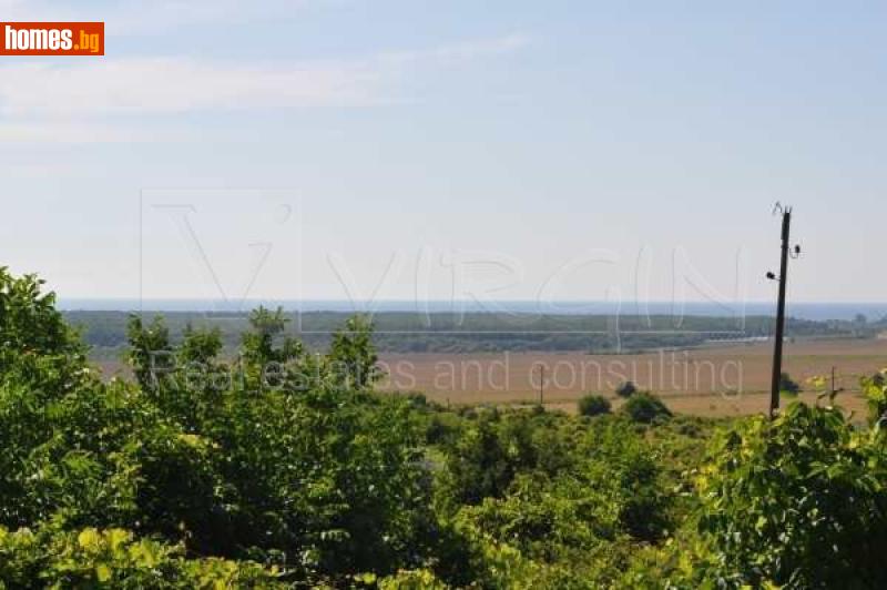 Парцел, 2920m² - С.Рогачево, Добрич - Парцел за продажба - ВЪРДЖЪН ЕООД - 116624648