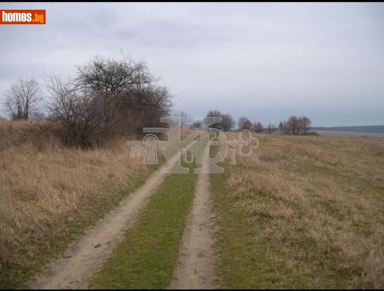 Парцел, 5700m² - С.Звездица, Варна - Парцел за продажба - Руди Кей - 116632155