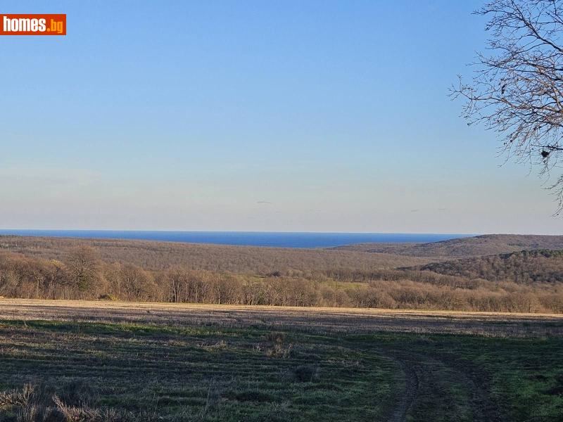 Парцел, 7000m² - С.Приселци, Варна - Парцел за продажба - Руди Кей - 116632176