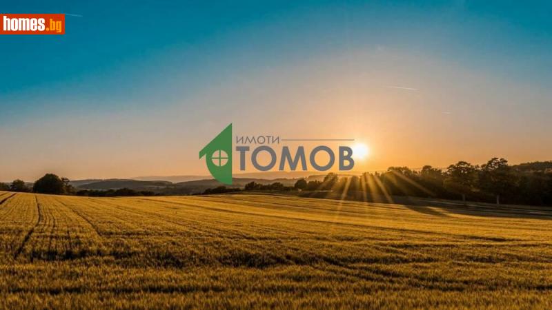Парцел, 1500m² - С.Янково, Шумен - Парцел за продажба - Имоти Томов - 116647419