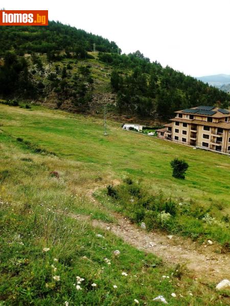 Парцел, 2000m² - Гр.Велинград, Пазарджик - Парцел за продажба - Petrov Estate - 116680989