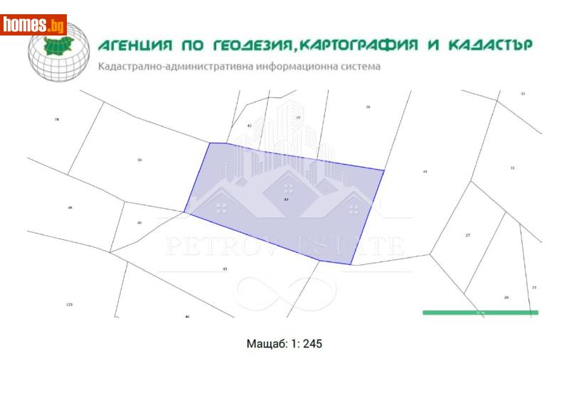 Парцел, 3740m² - Гр.Велинград, Пазарджик - Парцел за продажба - Petrov Estate - 116681020