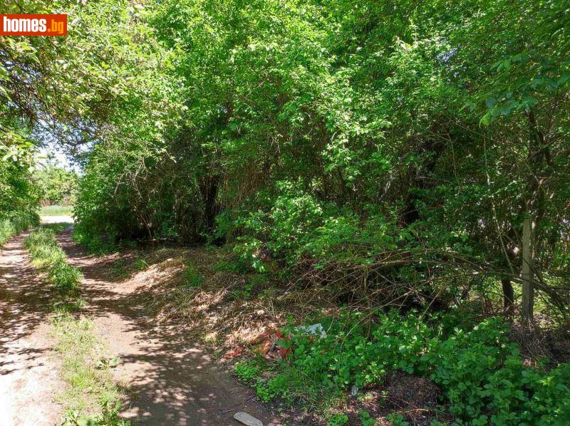 Парцел, 1000m² - С.Крайници, Кюстендил - Парцел за продажба - Глобъл Сървисиз ООД - 116846352