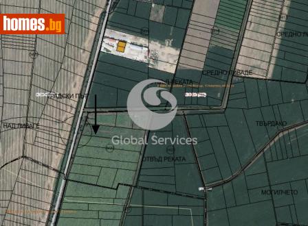 Парцел, 5000m² - Парцел за продажба - 116846609