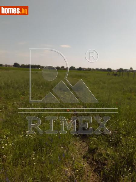 Парцел, 10301m² - С.Царацово, Пловдив - Парцел за продажба - Римекс Имоти - 117654240