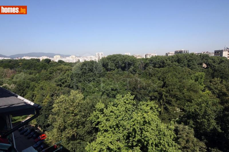 Четиристаен, 215m² - Жк. Лозенец, София - Апартамент за продажба - Фърст Естейтс  - 117661054