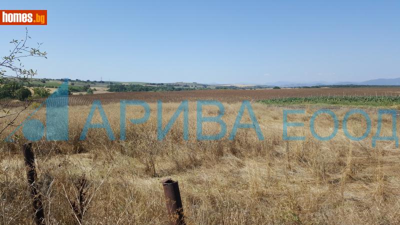 Парцел, 2830m² - Кв. Болярово, Хасково - Парцел за продажба - Арива Консулт ЕООД - 117674411