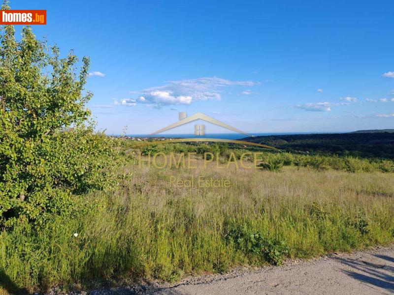 Парцел, 10000m² - М-т Боровец, Варна - Парцел за продажба - Home Place - 118001035