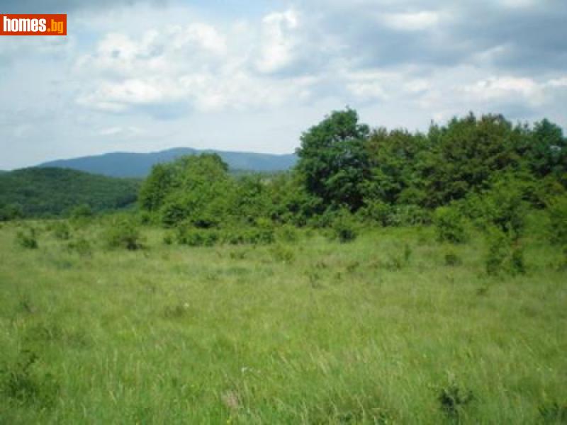 Парцел, 9997m² - С.Чакали, Велико Търново - Парцел за продажба - Болкан Естейт - 118048258