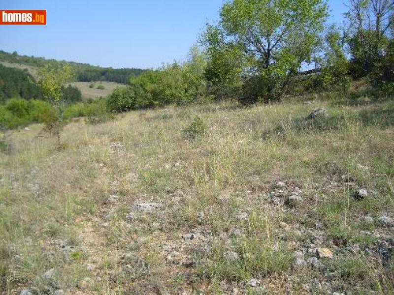 Парцел, 8400m² - С.Арбанаси, Велико Търново - Парцел за продажба - Болкан Естейт - 118048263