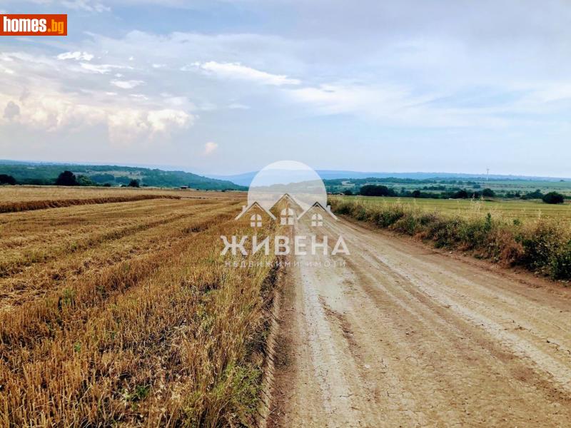 Парцел, 4200m² - С.Кичево, Варна - Парцел за продажба - ЖИВЕНА Недвижими Имоти - 118061112
