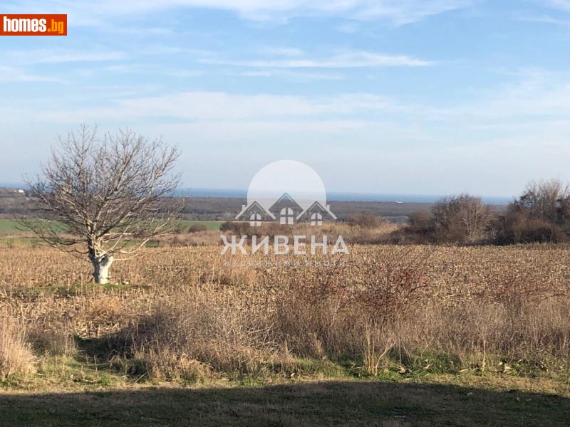 Парцел, 5259m² - С.Рогачево, Добрич - Парцел за продажба - ЖИВЕНА Недвижими Имоти - 118061136