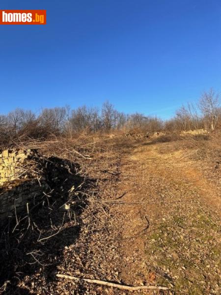 Парцел, 8150m² - С.Караиванца, Габрово - Парцел за продажба - Болкан Естейт - 118125299