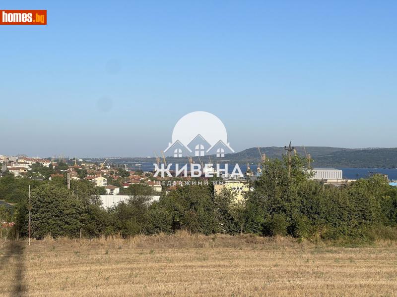 Парцел, 11650m² - С.Езерово, Варна - Парцел за продажба - ЖИВЕНА Недвижими Имоти - 118135611
